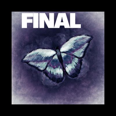 Final Image